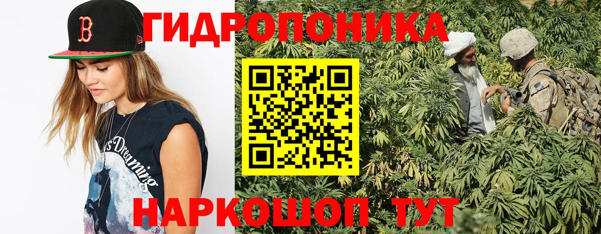 Марихуана тримм Пугачёв